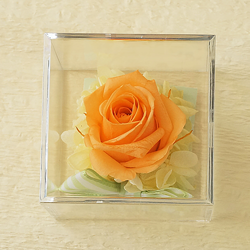 Je t’aime　Carre (ジュテームカレ)プリザーブドフラワー≪パステルオレンジ≫