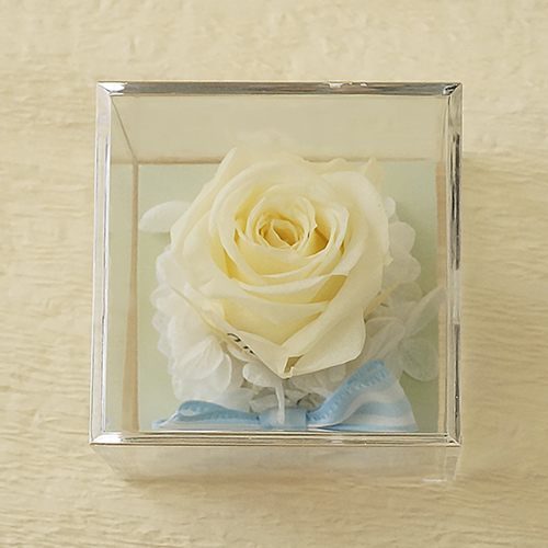 Je t’aime　Carre (ジュテームカレ)プリザーブドフラワー ≪ホワイトブルー≫