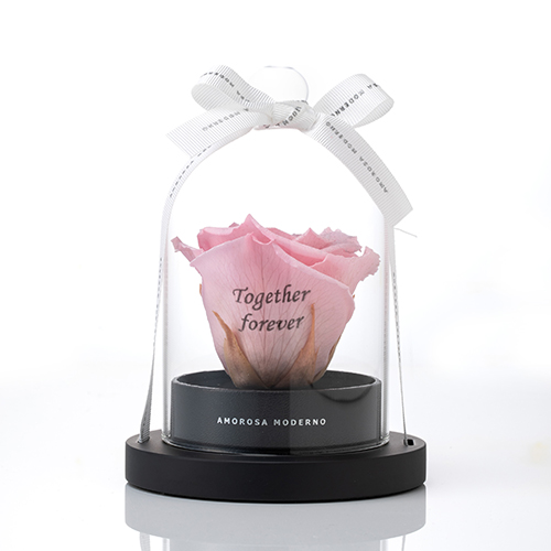 リトルベル Specialダイヤモンドローズ　　ピンク