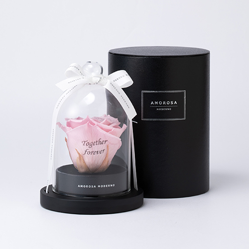 リトルベル Specialダイヤモンドローズ　　ピンク