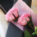 【バラ二輪ペア】プリザーブドフラワーLOVEローズ(専用バッグ付き) ≪ピンク≫
