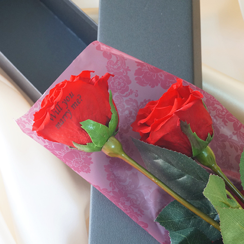 【バラ二輪ペア】プリザーブドフラワーLOVEローズ(専用バッグ付き) ≪レッド≫
