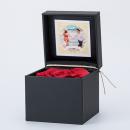 【ストメモ動画編集アプリ付】ブリリアントローズ　レッド　