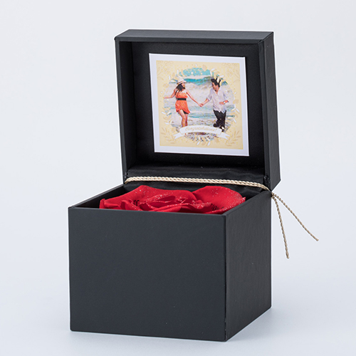 【ストメモ動画編集アプリ付】ブリリアントローズ　レッド　