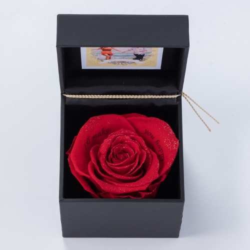 【ストメモ動画編集アプリ付】ブリリアントローズ　レッド　