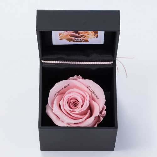 【ストメモ動画編集アプリ付】ブリリアントローズ　ピンク