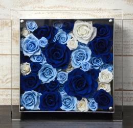 プリザーブドフラワーローズフレームアレンジ　≪ブルー系≫