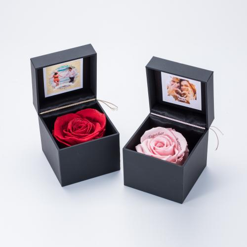 【ストメモ動画編集アプリ付】ブリリアントローズ　ピンク