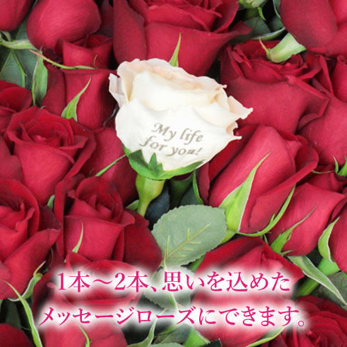 プロポーズ用 生花バラ108本の花束 メッセージローズ