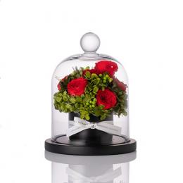 【花に記念日プリント】フラワードームアレンジメント レッド S