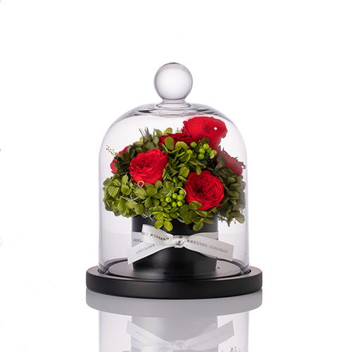 【花に記念日プリント】フラワードームアレンジメント レッド S