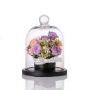 【花に記念日プリント】フラワードームアレンジメント ヴァイオレット S 紫のバラ