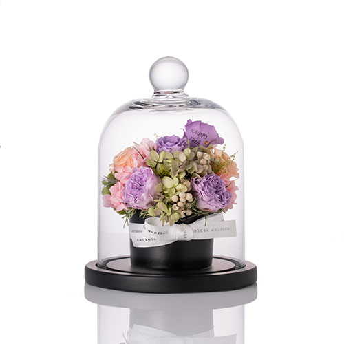 【花に記念日プリント】フラワードームアレンジメント ヴァイオレット S 紫のバラ