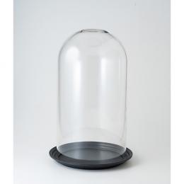 【プロポーズ】ビューティーローズ&ドーム