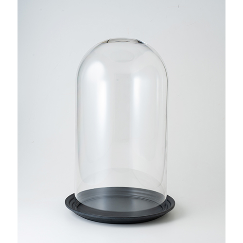 【プロポーズ】ビューティーローズ&ドーム