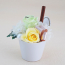 【メッセージローズ】スイーツカップアレンジ&プリザーブドフラワー≪レモンライム≫