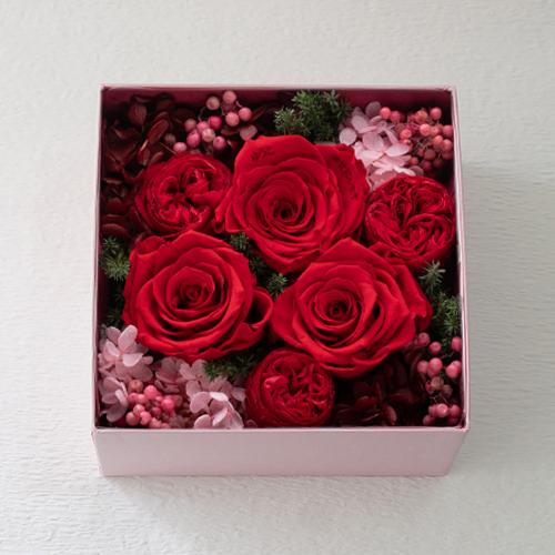 Pinkボックスフラワー　プリザーブドフラワー　レッド