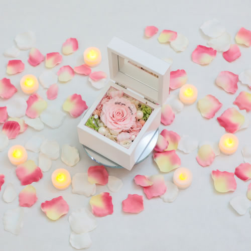 【サプライズ演出】LEDキャンドル6個と花びら200枚セット