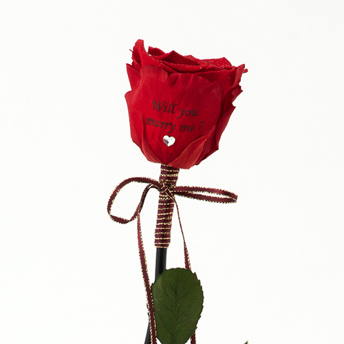 【バラ一輪】Specialダイヤモンドローズ　ロングタイプ　メッセージフラワー　レッド