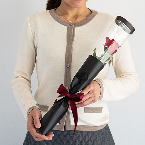 【バラ一輪】プリザーブドフラワーローズ(専用バッグ付き)≪レッド≫