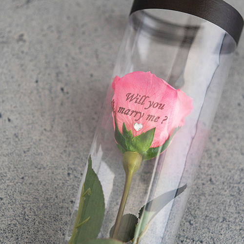 【バラ一輪】プリザーブドフラワーローズ(専用バッグ付き)≪ストロベリーピンク≫