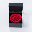 プロポーズボックス フラワー Specialダイヤモンドローズ レッド