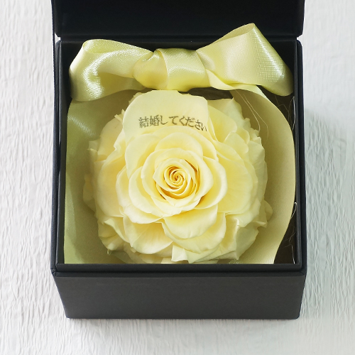 プロポーズボックス ROSE BOUTE ブラックBOX ≪ハニーイエロー≫