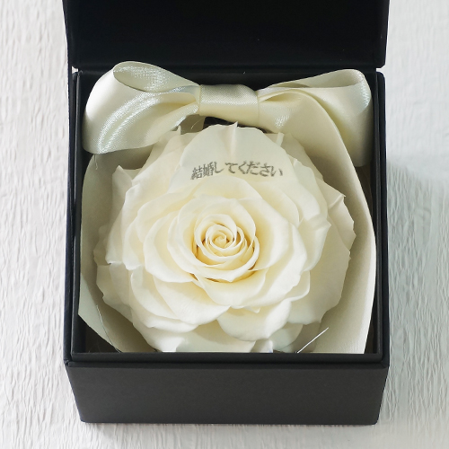 プロポーズボックス ROSE BOUTE ブラックBOX ≪ホワイト≫