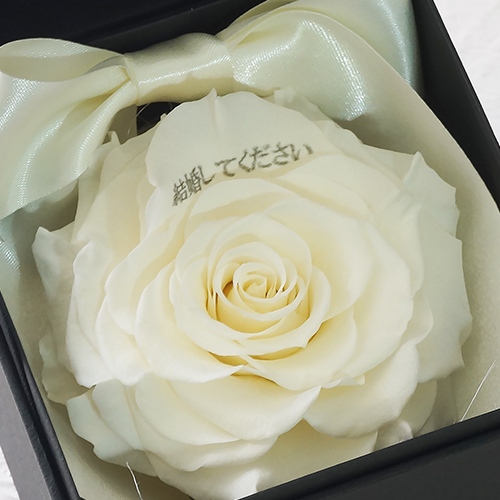 プロポーズボックス ROSE BOUTE ブラックBOX ≪ホワイト≫