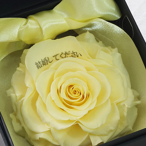 プロポーズボックス ROSE BOUTE ブラックBOX ≪ハニーイエロー≫