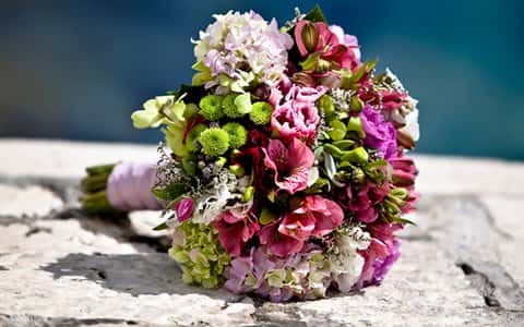 メディア掲載情報一覧