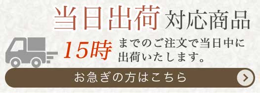 13:0までのご注文なら当日出荷できる商品